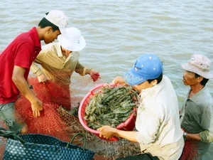 越南注重水产资源的保护工作